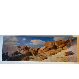 Panoramic Poster Petrified Forest National Park 12X36
